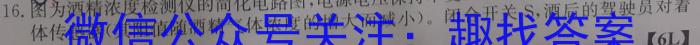 2023届芜湖市初中毕业班教学质量统测（5月）.物理