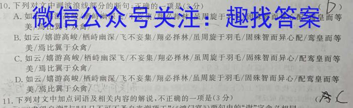 黑白卷 2023年普通高等学校招生全国统一考试(白卷)语文