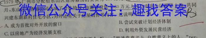 陕西师大附中2022-2023学年度初三年级第五次适应性训练历史