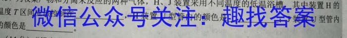 师大名师金卷 2023年陕西省初中学业水平考试模拟卷(四)化学