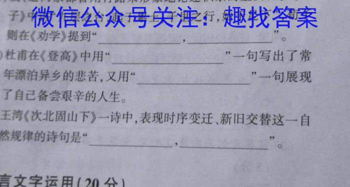 2023年普通高等学校招生全国统一考试·临门一卷(一)语文