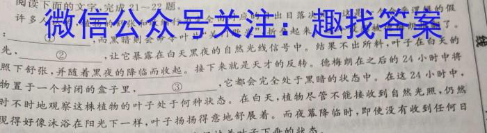 快乐考生 2023届双考信息卷·第七辑 一模精选卷 考向卷(三)语文