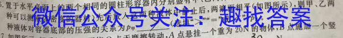 2023年普通高等学校招生统一考试 新S3·临门押题卷(四)物理.