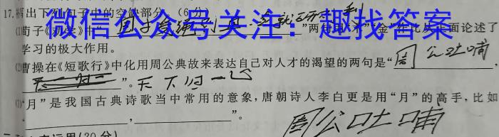 陕西省2023年九年级模拟检测卷语文