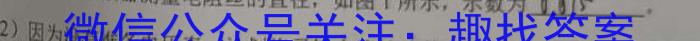 2023年广东省高三年级5月联考（578C·G DONG）物理.
