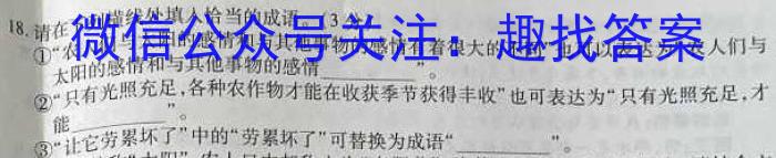 河北省邯郸市2023届高三年级保温试题语文