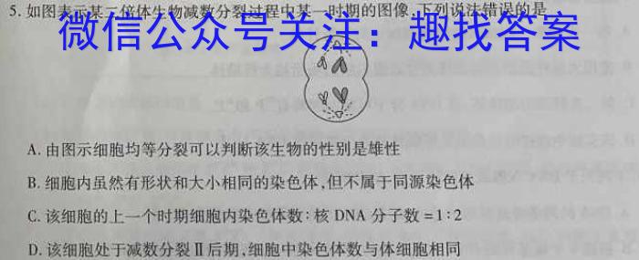 2023安徽中考抓分卷四生物