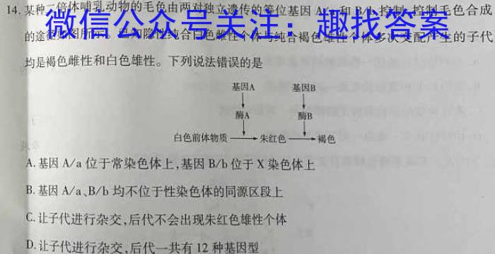 2023届中考导航总复习·模拟·冲刺·二轮模拟卷(四)4生物