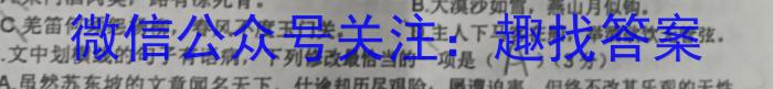 2022-2023学年陕西省七年级期中教学质量检测(23-CZ162a)语文