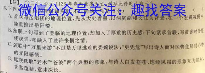 皖智教育·省城名校2023年中考最后三模（二）语文