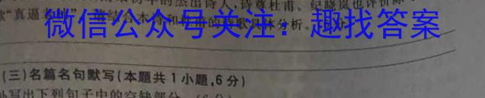 2023年广西示范性高中高二年级联合调研测试(2023.4)语文