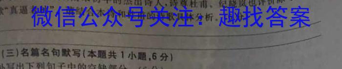 2023届山东省高三年级下学期高考针对性训练语文