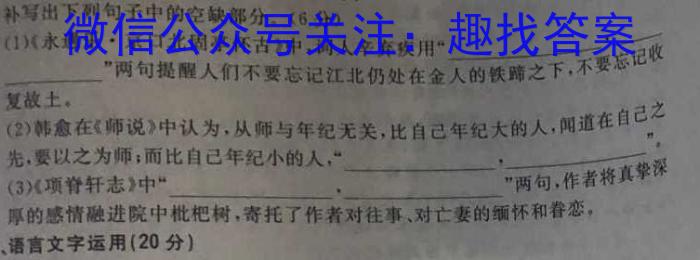 天一大联考 2023年普通高等学校招生全国统一考试预测卷(5月)语文