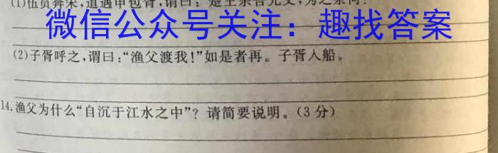 2023衡水金卷先享题压轴卷答案 新高考B一语文