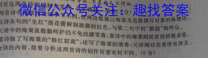 青桐鸣高考冲刺 2023年普通高等学校招生全国统一考试押题卷(四)语文