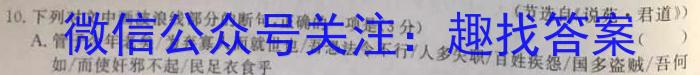 安徽省C20教育联盟2023年九年级第二次学业水平检测语文
