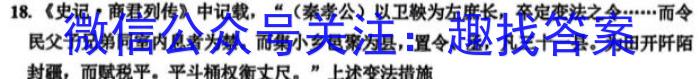 河南省2022-2023学年普通高中高一下学期期中教学质量检测历史