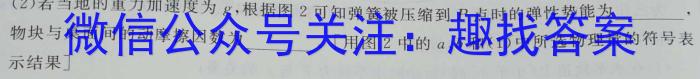 2024-2023学年安徽省七年级下学期阶段性质量检测（七）q物理