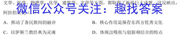 2023届大湾区普通高中毕业班联合模拟考试(二)历史