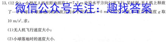 [南开九检]重庆南开中学高2023届高三第九次质量检测(2023.5)物理`