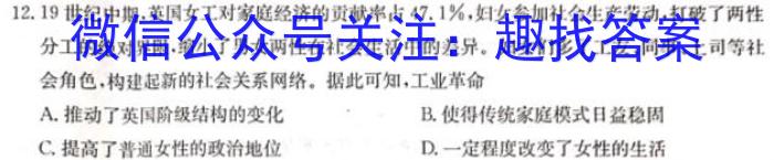 江西省乐平市2024-2023学年度九年级下学期期中学业评价历史