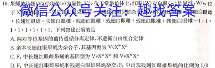 2023年普通高等学校全国统一模拟招生考试 新未来4月高二联考生物试卷答案
