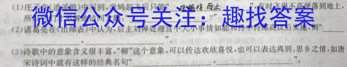 2023年普通高等学校招生伯乐马押题考试（二）语文