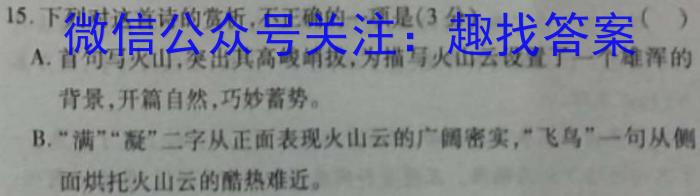 江西省上饶市八年级下学期第二阶段质量练*（4月）语文