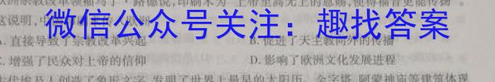 2022-2023百万联考高二考试4月联考(23-204B)历史试卷