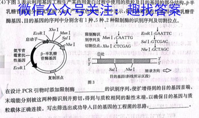 2023年衡水名师卷高考模拟压轴卷 老高考(三)生物