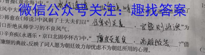 鄂东南省级示范高中教育教学改革联盟学校2023年五月高三模拟考语文