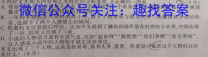 江淮名卷·2023年省城名校中考调研（最后一卷）语文