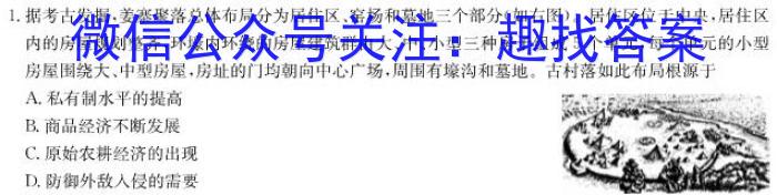 安徽省毫州市蒙城县2022-2023学年度九年级第二学期第三次模考历史试卷