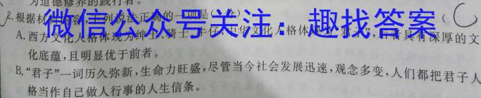 2023届全国百万联考老高考高三5月联考(5003C)语文