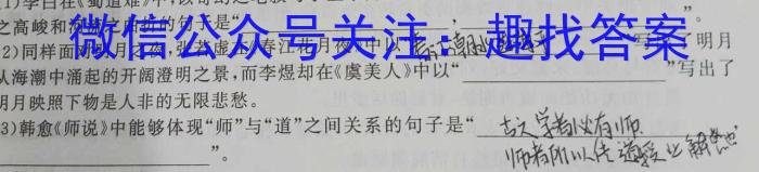 湖南省2023届高三一起考大联考(模拟四)语文