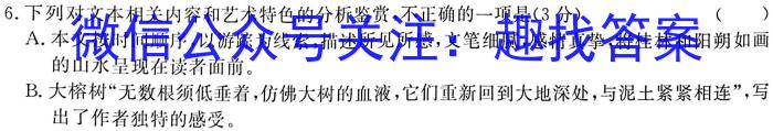 2023届衡水金卷先享题压轴卷(一)语文