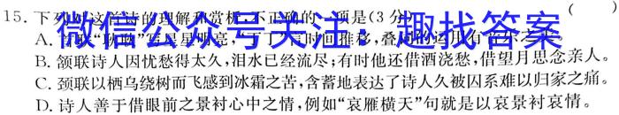 云南省红河州2023届高中毕业生第三次复习统一检测语文