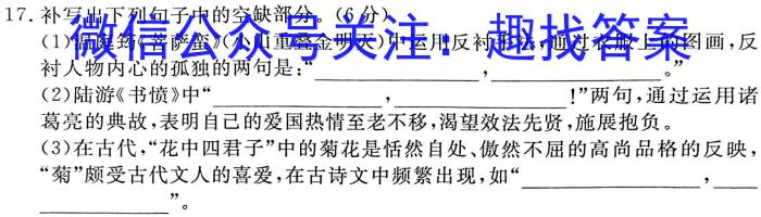 江淮名卷·2023年省城名校中考调研（三）语文