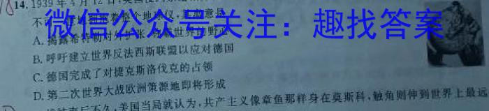 2023届芜湖市初中毕业班教学质量统测（5月）历史试卷