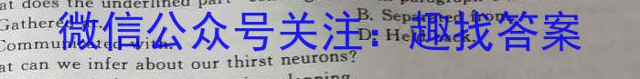 NT2023届普通高等学校招生全国统一考试模拟试卷(一)(新高考)英语试题