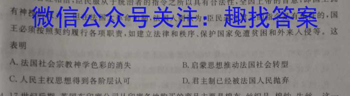 安徽省芜湖市无为市2022-2023学年九年级中考模拟检测（一）历史