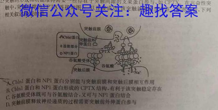 2022~2023学年高二下学期期中联合考试(23-411B)生物试卷答案