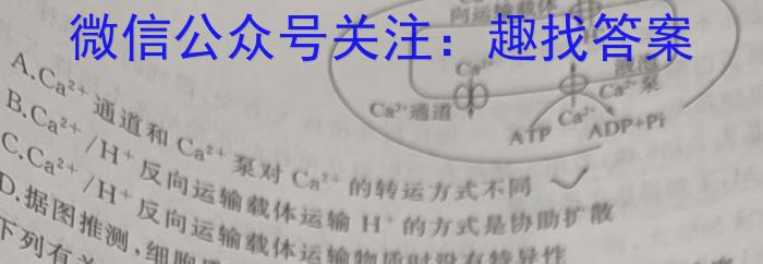 2023年湖南省普通高中学业水平合格性考试仿真试卷(专家版四)生物