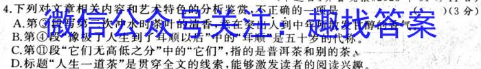 炎德英才大联考 长沙市一中2023届模拟试卷(二)语文