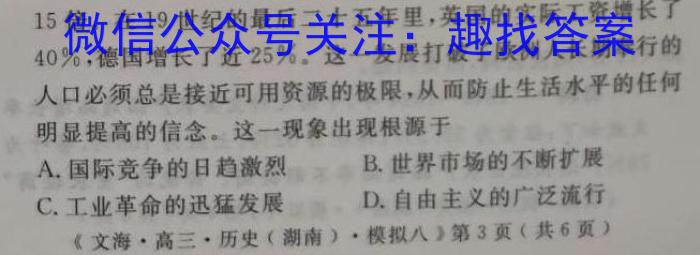 安徽省芜湖市无为市2024-2023学年九年级中考模拟检测（一）历史