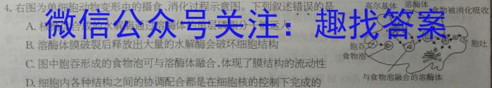 河南省创新发展联盟2023高二下学期4月期中考试（23-419B）生物
