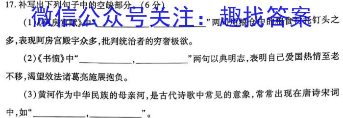 武汉市2023届高三五月模拟训练试题(2023.5.24)语文