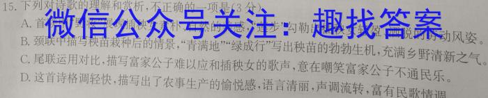 [南昌三模]2023届南昌市20230607项目第三次模拟测试卷语文