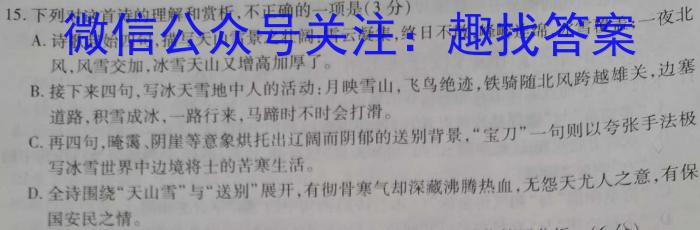 T2·2023年陕西省初中学业水平考试模拟试卷A语文