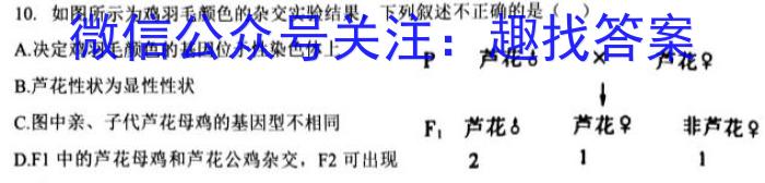 天一大联考 2022-2023学年高三考前模拟考试生物试卷答案